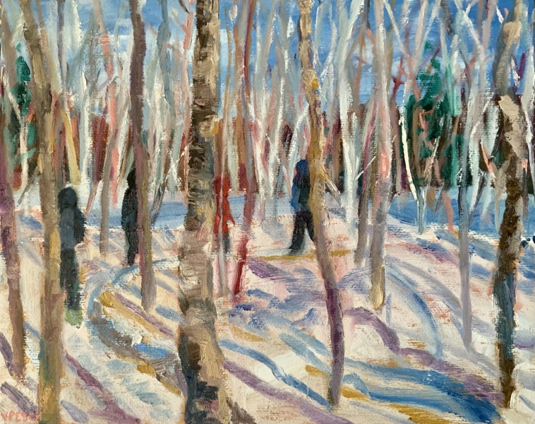 Snowshoeing Adventure