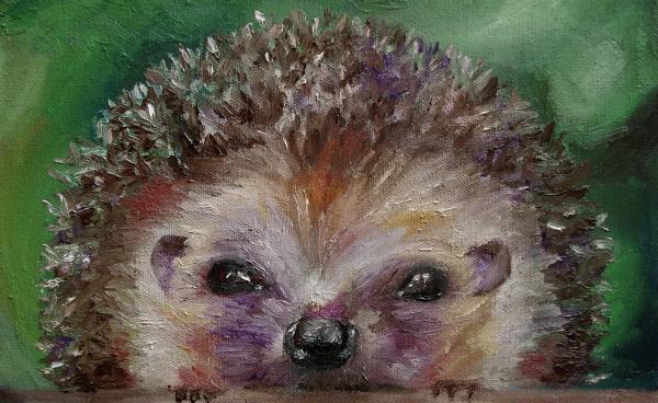 Eyes of a Hedgehog